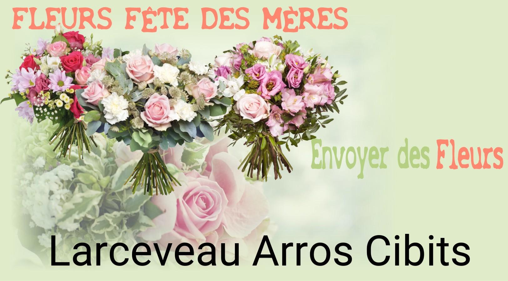 Bouquet de Fête des Mères livré à Larceveau-Arros-Cibits